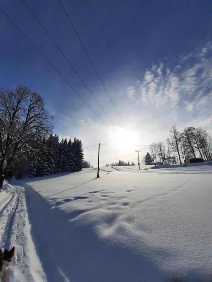 Apartmány Kořenov Exteriér fotografie